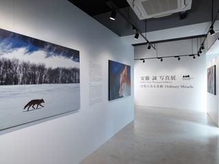 ■阿寒アートギャラリー（2階）／アウトドアマスターガイドとしても活躍する写真家 安藤誠氏の作品の数々