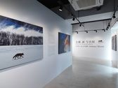 ■阿寒アートギャラリー（2階）／アウトドアマスターガイドとしても活躍する写真家 安藤誠氏の作品の数々