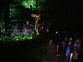 ■夜の森を歩いて愉しむナイトウォーク「カムイルミナ」／美しい映像と共に物語の一員に　※イメージ