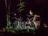 ■夜の森を歩いて愉しむナイトウォーク「カムイルミナ」／美しい映像が森の中に浮かびあがる（イメージ）