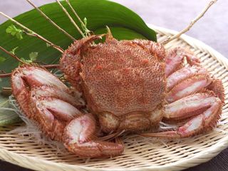◆毛蟹／美味しい毛蟹をボイルで堪能ください！（イメージ）