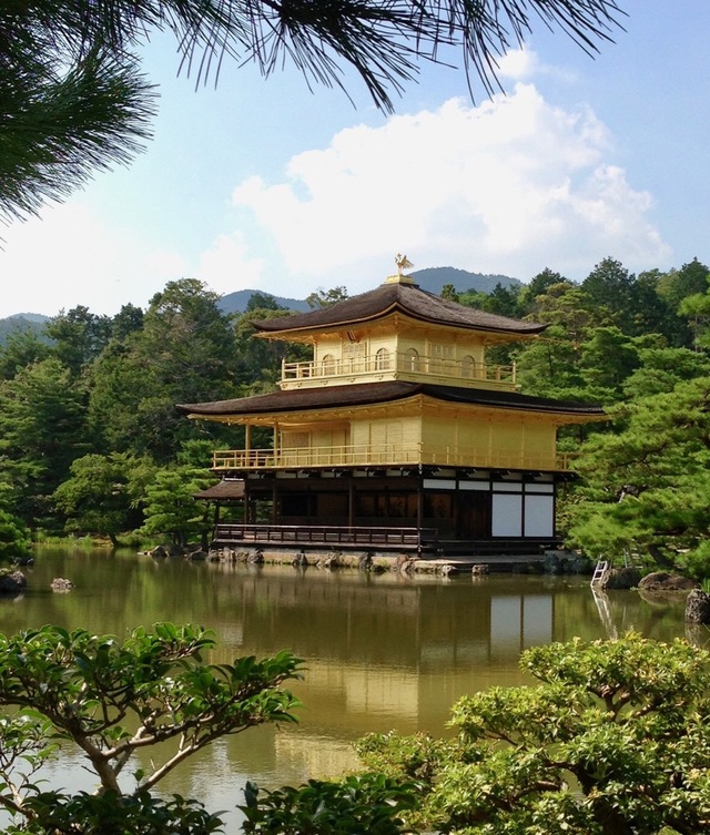 京都観光におすすめプラン！（写真は金閣寺）