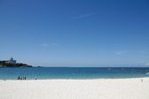 【周辺・景観】白良浜まで徒歩１分！青と白のコントラストが映える白良浜はお散歩にぴったり